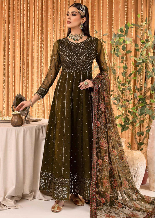 Aliza Embroidered Chiffon Maxi with Net Shawl & Trouser