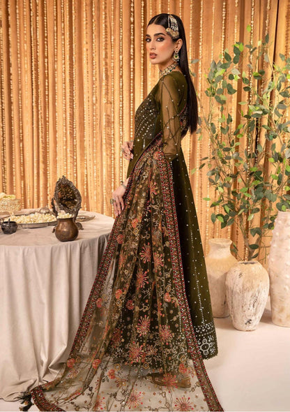 Aliza Embroidered Chiffon Maxi with Net Shawl & Trouser